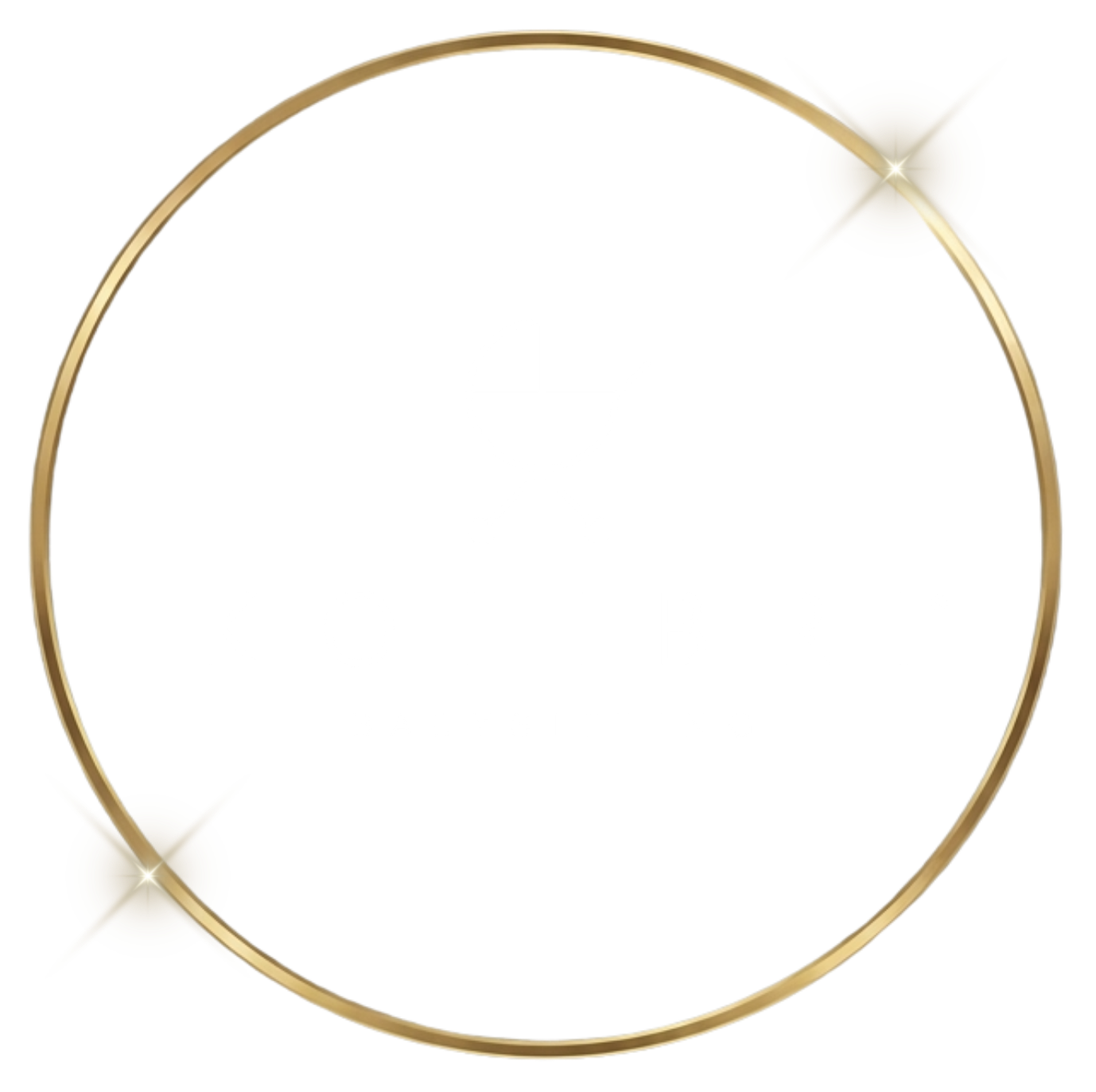 logo-kolibri-transparent-krug-croped logo-kolibri-transparent-krug-croped